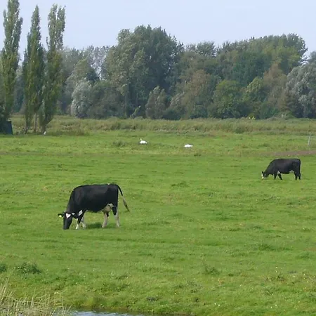 Polderzicht *